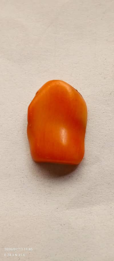 coral marjaan