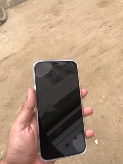 Apple iPhone 12 Pro Max