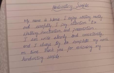 professional writer