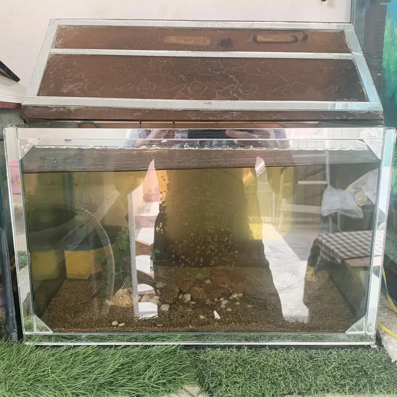 aquarium and Oscar fish — photo 7