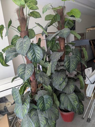Large Artificial Decorative Plants (2 Pieces) - Tall Indoor Trees