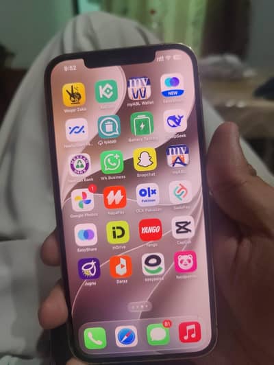 Apple iPhone 12 Pro Max