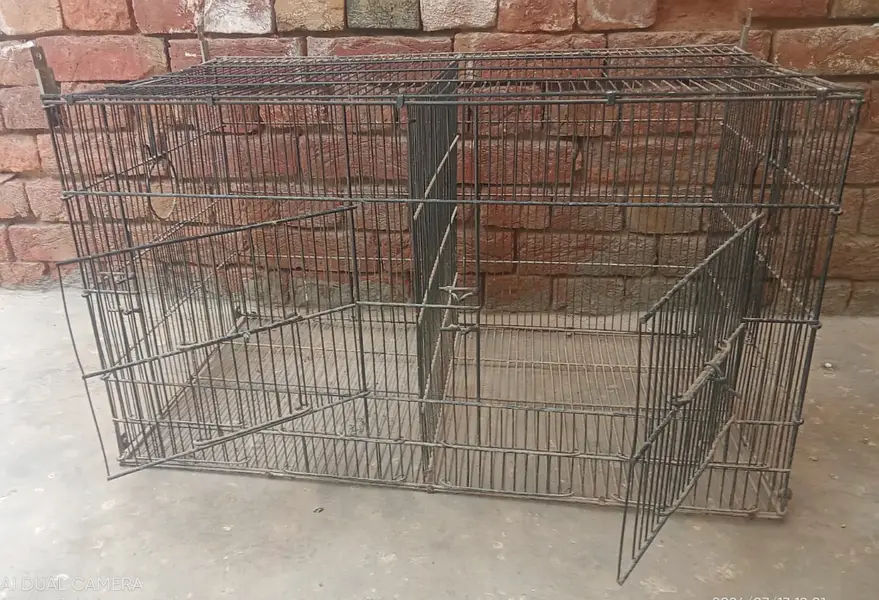 Bird Cage — photo 2