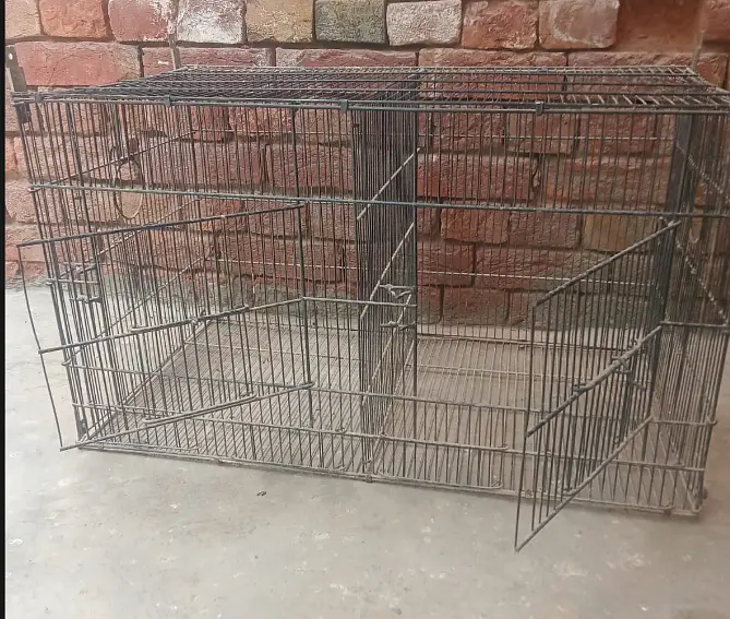 Bird Cage — photo 3