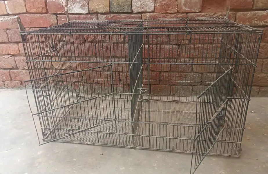 Bird Cage — photo 4