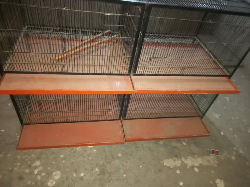 animals cage 1