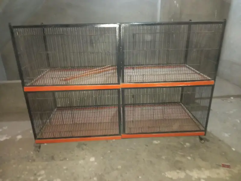 animals cage — photo 3