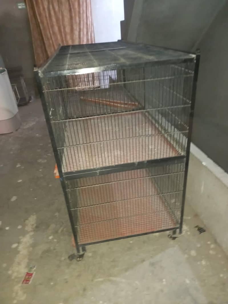 animals cage 3