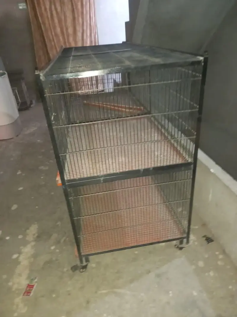 animals cage — photo 4