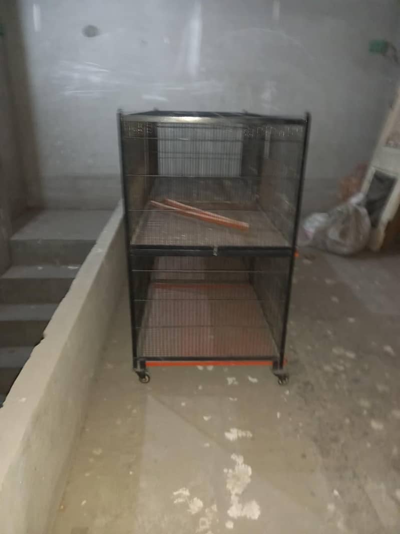 animals cage 4