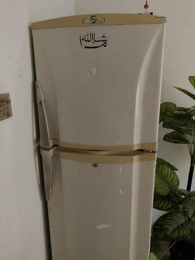 pel friege for sale
