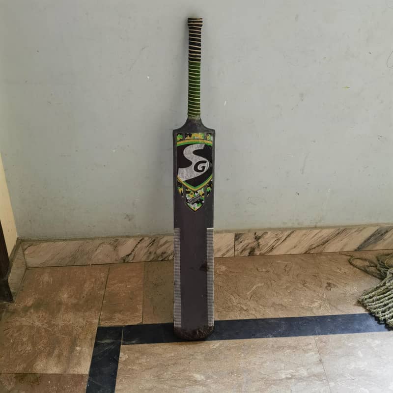 coconut bat 4