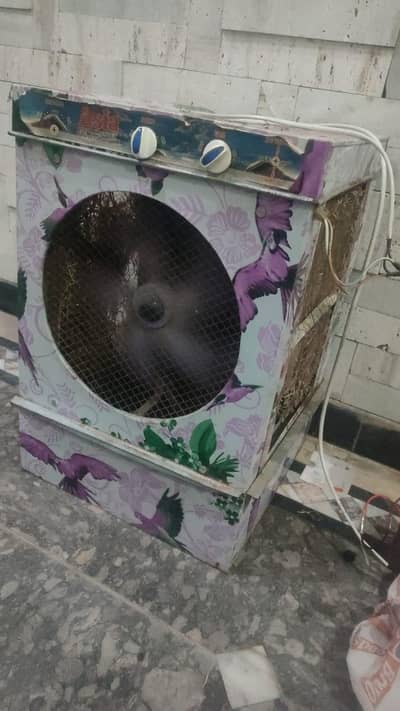 DC COOLR FOR SALE 12V