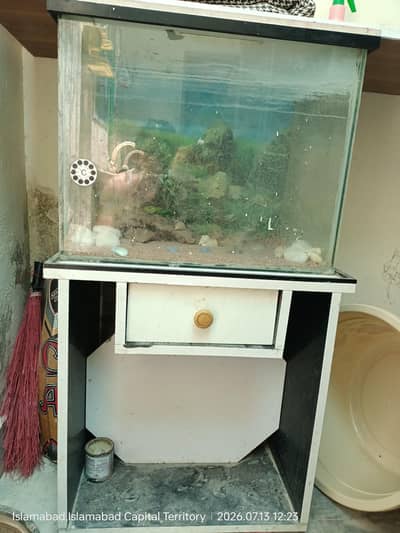 Fish Equrium For Sale Urgent