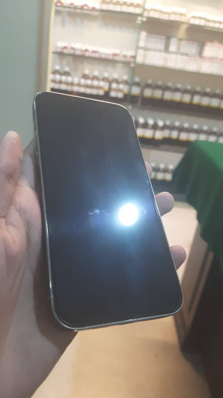 Apple iPhone 13 Pro Max 1