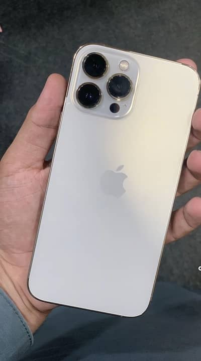 Apple iPhone 13 Pro Max