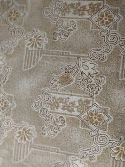 carpet