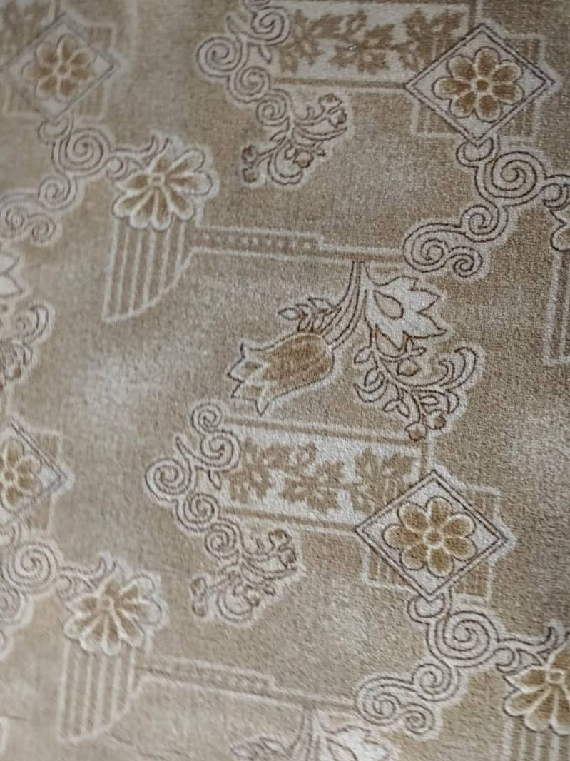 carpet 0