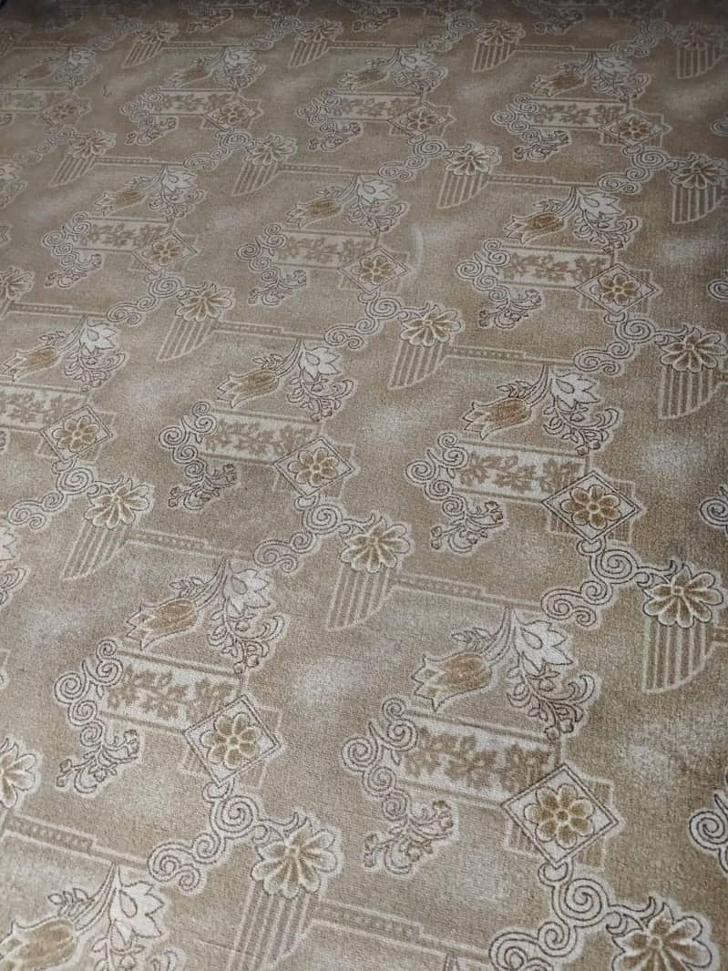carpet 2