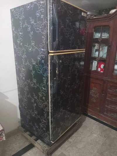 Philips Double Door Refrigerator |Good working|10/9 Condition