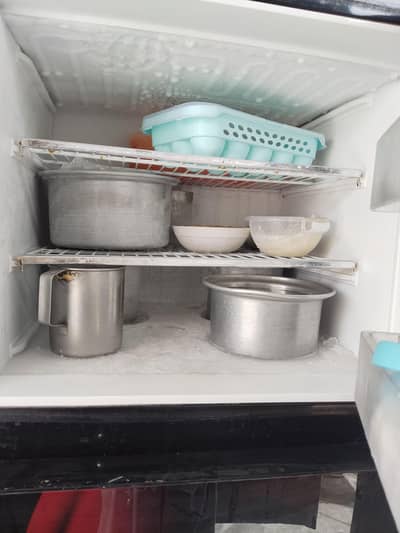pel large refrigerator