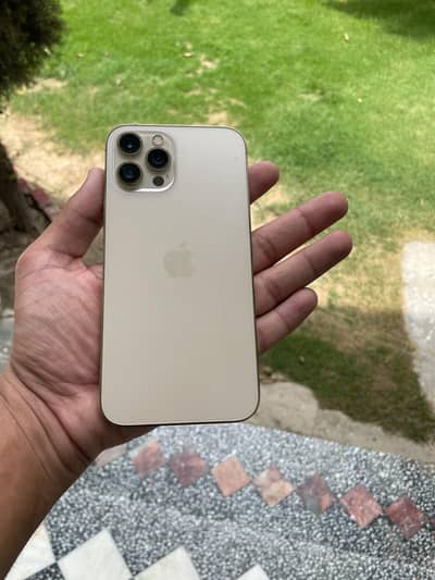 Apple iPhone 12 Pro Max