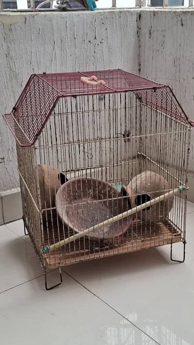 Bird Cage for sale!!