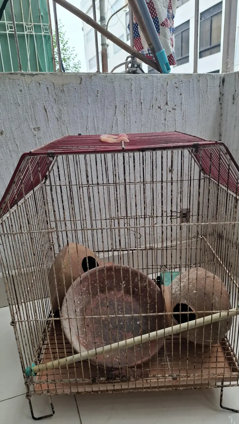 Bird Cage for sale!! — photo 2