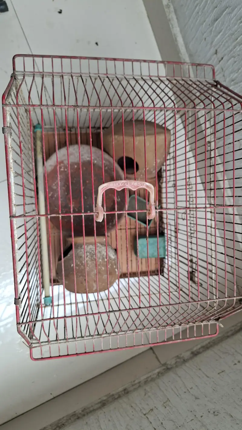 Bird Cage for sale!! — photo 3