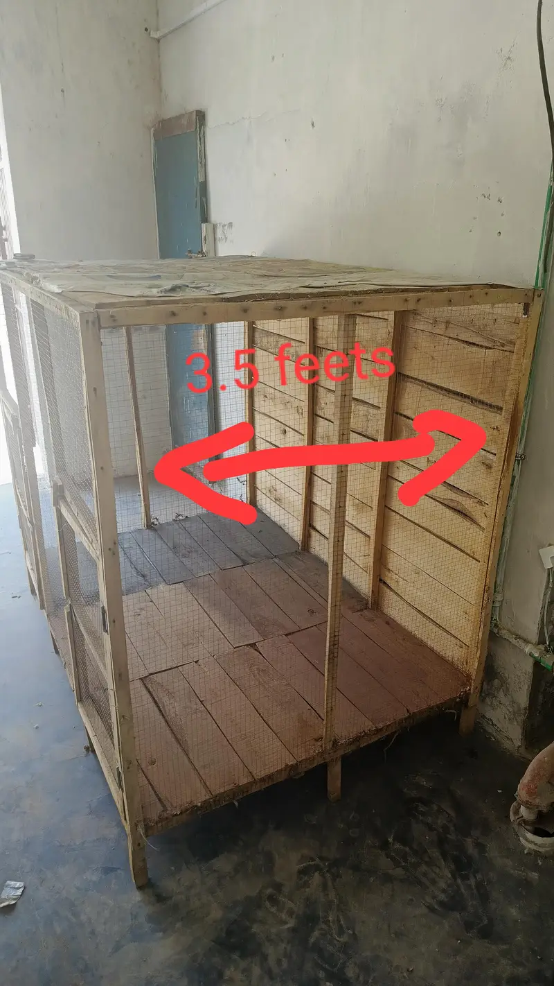 cage for hens and pigeons — photo 2