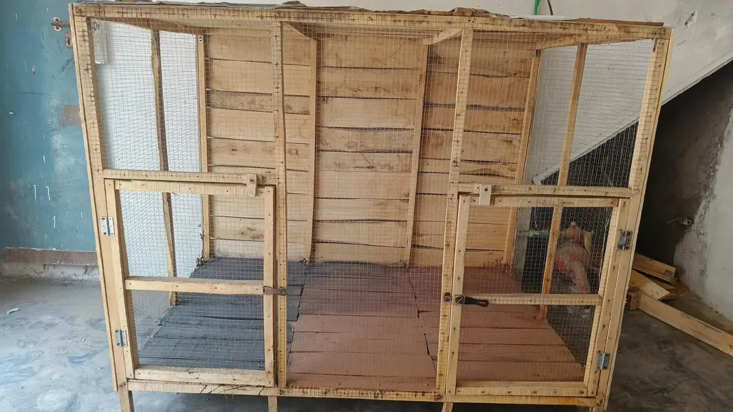 cage for hens and pigeons — photo 3