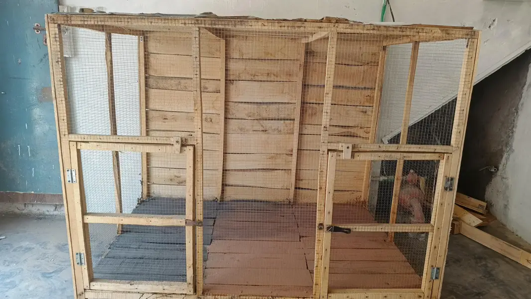 cage for hens and pigeons — photo 4