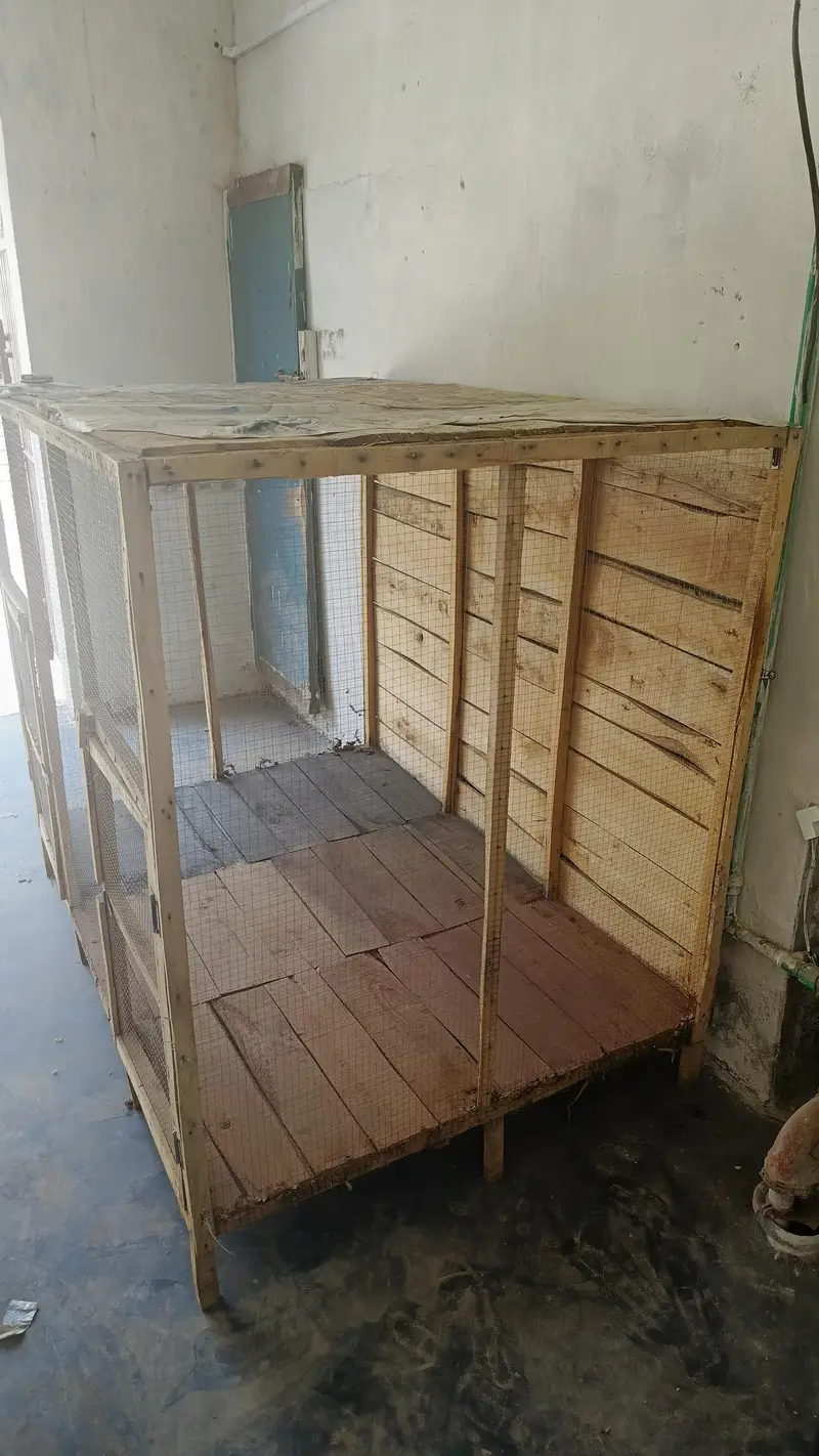 cage for hens and pigeons — photo 5