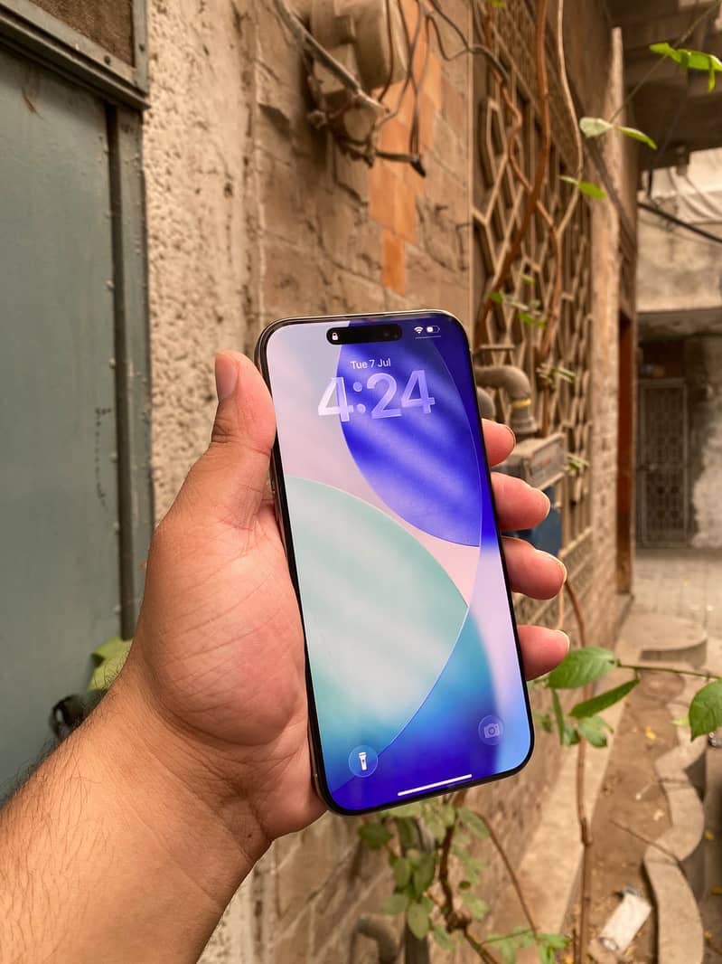 Apple iPhone 16 Pro Max 2