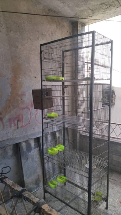 4 portion cage size 1.5×1.5×2.5 galvanized Rawalpindi