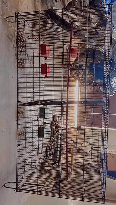 birds cage