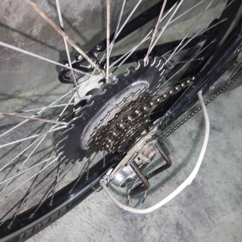 Bicycle 3
