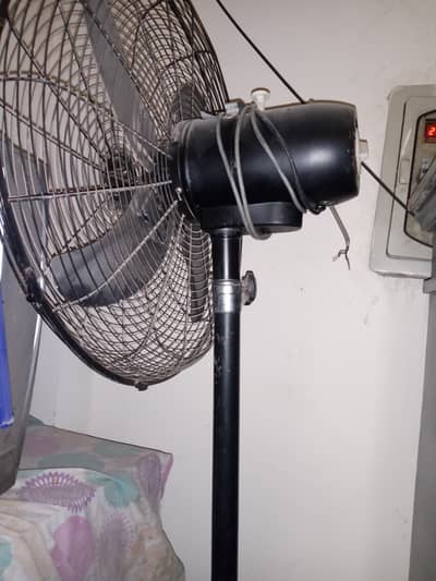 pedestal fan