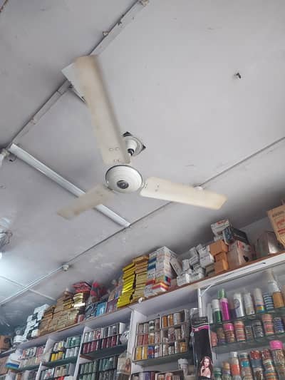 fan for sale