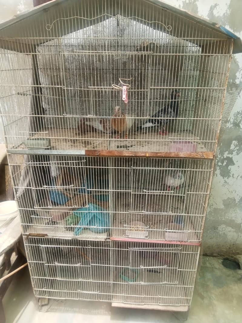cage es 0