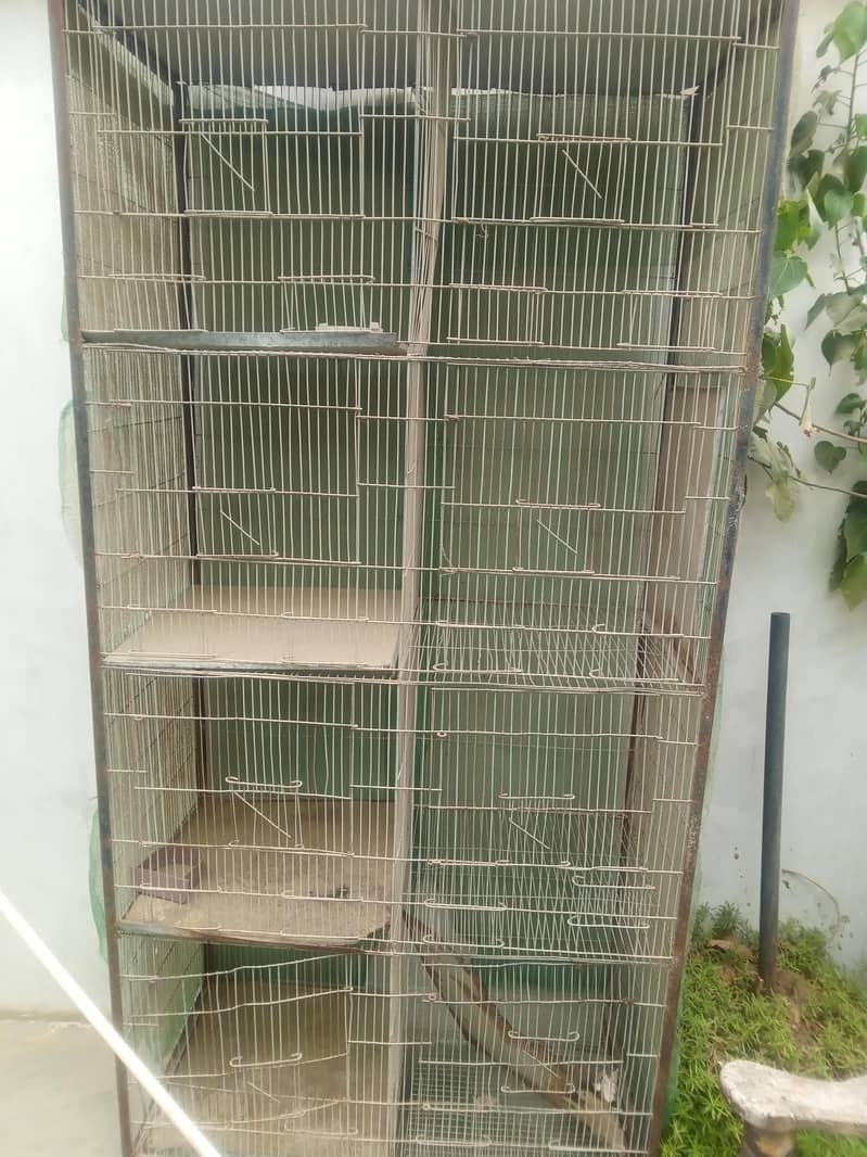 cage es 1