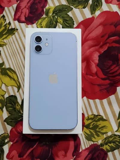 Apple iPhone 12