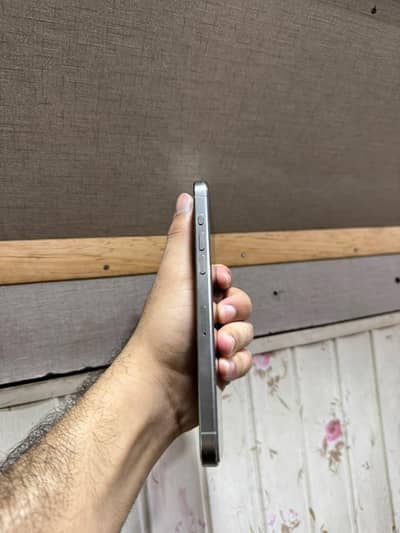 15 pro max 256gb
