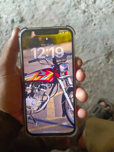 Apple iPhone 12 Pro Max