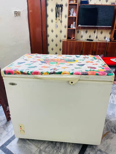waves deep freezer