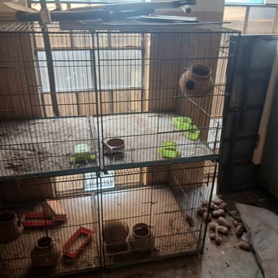 perrot cage