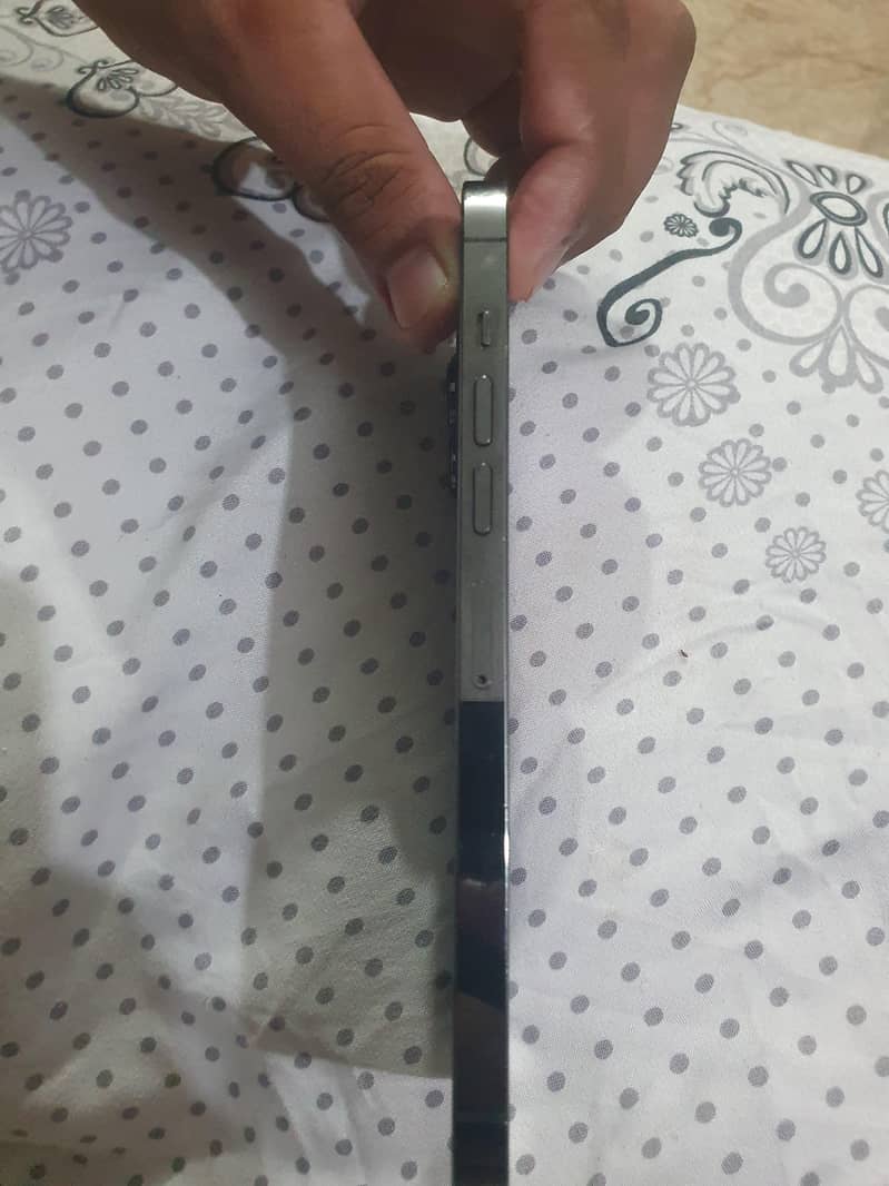 Apple iPhone 13 Pro Max 3