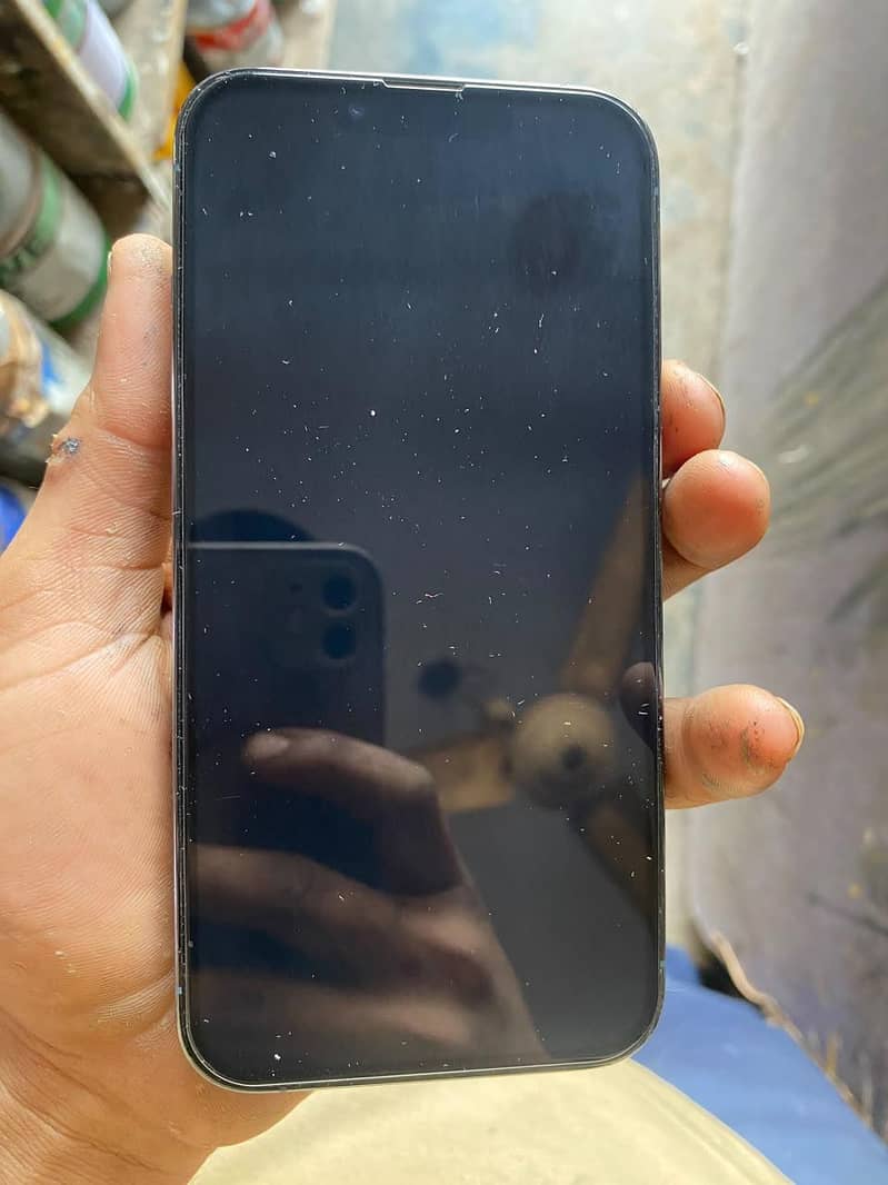 Apple iPhone 13 Pro Max 13