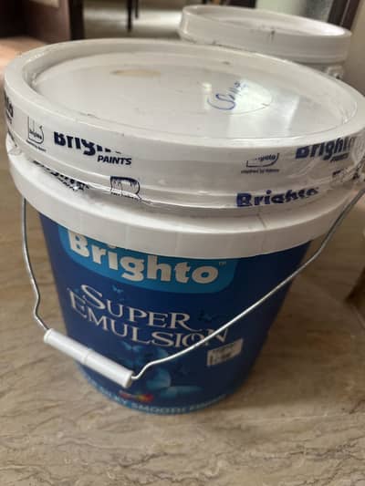 Brighto Paint Super Emulsion 9804 Shade