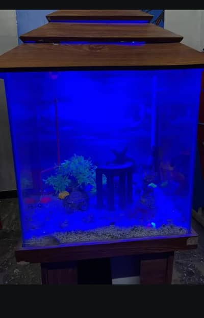 Smart Fish Aquarium